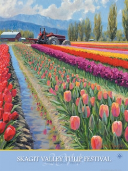 2014 Tulip Festival